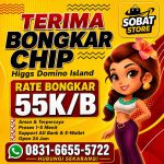 thumbnail-khusus-terima-bongkar-chip-domino-island-higgs-buka-24jam-wa0831-6655-5722-0