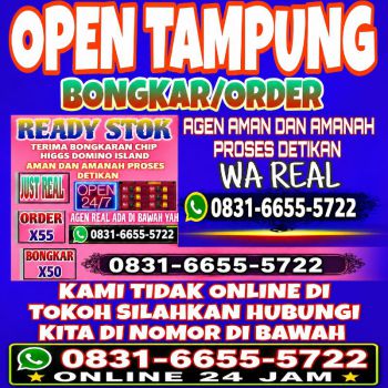 AGEN TERIMA BONGKAR CHIP DOMINO ISLAND HIGGS 🔥 BUKA 24JAM WA:0831-6655-5722