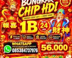 thumbnail-agen-resmi-terima-bongkar-chip-domino-island-higgs-buka-24jam-proses-cepat-0