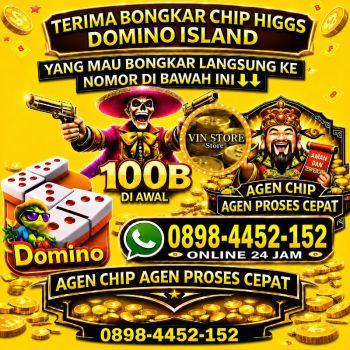 Terima bongkar chip higgs domino island