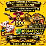 thumbnail-terima-bongkar-chip-higgs-domino-island-0