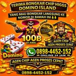 thumbnail-terima-bongkar-chip-higgs-domino-island-08984452152-0