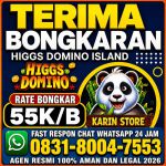 thumbnail-terima-bongkar-chip-hdi-higgs-domino-island-amanah-wa-0831-8004-7553-0