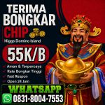 thumbnail-khusus-terima-bongkar-chip-domino-island-higgs-buka-24jam-wa0831-8004-7553-0
