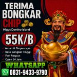 thumbnail-khusus-terima-bongkar-chip-domino-island-higgs-buka-24jam-wa0831-9433-9790-0