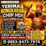 thumbnail-agen-resmi-terima-bongkar-chip-domino-island-higgs-buka-24jam-wa-085384737976-0