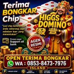 thumbnail-agen-khusus-terima-bongkar-chip-hinggs-domino-24jam-0