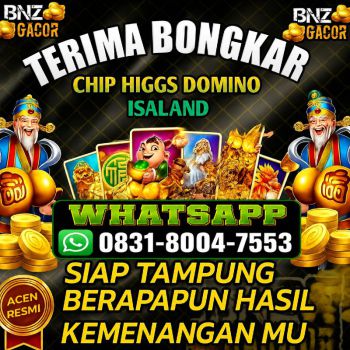TERIMA BONGKAR CHIP HDI HIGGS DOMINO ISLAND JUAL BELI CHIP HDI WA 083180047553