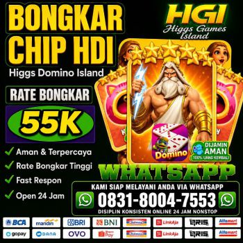 terima bongkar chip higgs domino island Wa 083180047553