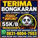 thumbnail-khusus-terima-bongkar-chip-domino-island-higgs-buka-24jam-wa-083180047553-0