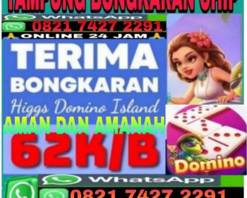 AGEN TERIMA BONGKAR CHIP HDI HIGGS DOMINO ISLAND BUKA 24JAM TERIMA BONGKARAN