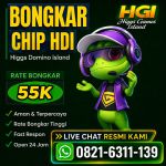 thumbnail-khusus-bongkar-chip-domino-island-higgs-hdihgi-buka-24jam-wa0821-6311-139-0