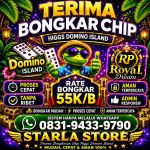 thumbnail-terima-bongkar-chip-hdi-higgs-domino-island-dan-royal-dream-wa-0831-9433-9790-0