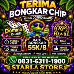 thumbnail-terima-bongkar-chip-hdi-higgs-domino-island-dan-royal-dream-wa-0831-6311-1900-0