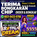 thumbnail-khusus-terima-bongkar-chip-domino-island-higgs-buka-24jam-wa0831-9433-9790-0
