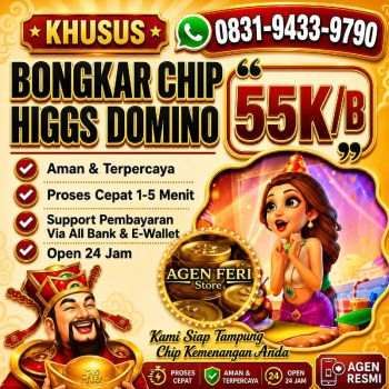 TERIMA BONGKAR CHIP HDI HIGGS DOMINO ISLAND JUAL BELI CHIP HDI WA 083194339790