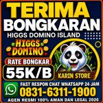 thumbnail-terima-bongkar-chip-hdi-higgs-domino-island-jual-beli-chip-hdi-wa-083163111900-0
