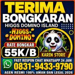 thumbnail-terima-bongkar-chip-hdi-higgs-domino-island-jual-beli-chip-hdi-0