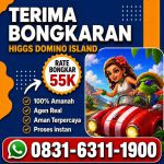 thumbnail-terima-bongkar-chip-hdi-higgs-domino-island-jual-beli-chip-hdi-0