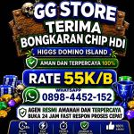 thumbnail-terima-bongkar-chip-higgs-domino-island-amanah-terpercaya-0