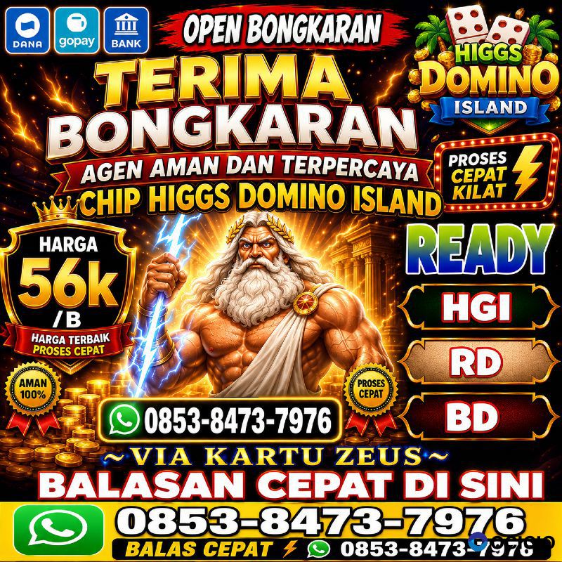 agen resmi terima bongkar chip higgs domino 24jam
