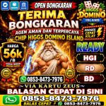 thumbnail-agen-resmi-terima-bongkar-chip-higgs-domino-24jam-0