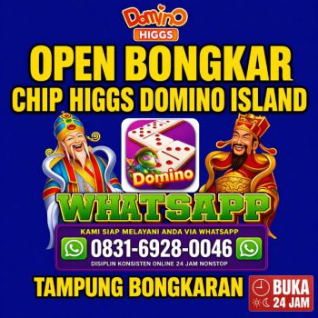 Agen terima bongkar chip higgs domino island
