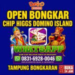 thumbnail-agen-terima-bongkar-chip-higgs-domino-island-0