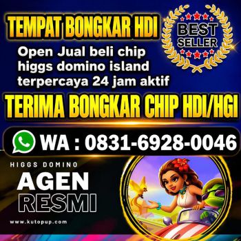 terima bongkar chip higgs domino island 24 jam