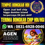 thumbnail-terima-bongkar-chip-higgs-domino-island-24-jam-0