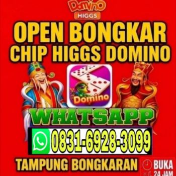 Terima bongkar domino island chip higgs wa 083169283099