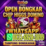 thumbnail-tampung-bongkar-island-chip-hdi-domino-higgs-wa-083169283099-0