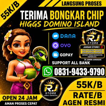 TERIMA BONGKAR CHIP HDI HIGGS DOMINO ISLAND DAN ROYAL DREAM WA 0831-9433-9790