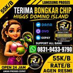 thumbnail-terima-bongkar-chip-hdi-higgs-domino-island-dan-royal-dream-wa-0831-9433-9790-0