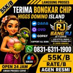 thumbnail-terima-bongkar-chip-hdi-higgs-domino-island-dan-royal-dream-wa-0831-6311-1900-0
