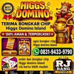 thumbnail-khusus-terima-bongkar-chip-domino-island-higgs-buka-24jam-wa0831-9433-9790-0
