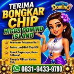 thumbnail-terima-bongkar-chip-hdi-higgs-domino-island-jual-beli-chip-hdi-wa-083194339790-0