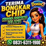 thumbnail-terima-bongkar-chip-hdi-higgs-domino-island-jual-beli-chip-hdi-wa-083163111900-0