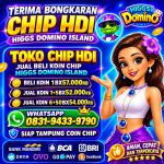 thumbnail-terima-bongkar-chip-hdi-higgs-domino-island-dan-royal-dream-wa-0831-9433-9790-0