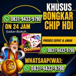 thumbnail-khusus-terima-bongkar-chip-domino-island-higgs-buka-24jam-wa0831-9433-9790-0