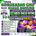 thumbnail-terima-bongkar-chip-hdi-higgs-domino-island-jual-beli-chip-hdi-wa-083194339790-0