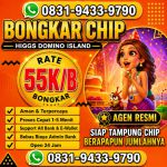 thumbnail-khusus-terima-bongkar-chip-domino-island-higgs-buka-24jam-wa0831-9433-9790-0