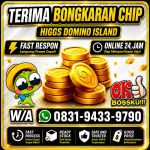 thumbnail-khusus-terima-bongkar-chip-domino-island-higgs-buka-24jam-wa0831-9433-9790-0