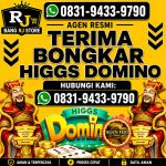 thumbnail-khusus-terima-bongkar-chip-domino-island-higgs-buka-24jam-wa0831-9433-9790-0