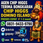 thumbnail-terima-bongkar-chip-hdi-higgs-domino-island-jual-beli-chip-hdi-wa-083194339790-0