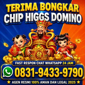 Terima Bongkar Chip Hdi Higgs Domino Island Aman Dan Terpercaya Wa 083194339790
