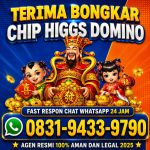 thumbnail-terima-bongkar-chip-hdi-higgs-domino-island-aman-dan-terpercaya-wa-083194339790-0