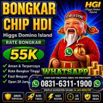 thumbnail-terima-bongkar-chip-hdi-higgs-domino-island-aman-dan-terpercaya-wa-083163111900-0