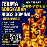 thumbnail-khusus-terima-bongkar-chip-domino-island-higgs-buka-24jam-wa0831-9433-9790-0