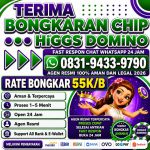 thumbnail-terima-bongkar-chip-hdi-higgs-domino-island-jual-beli-chip-hdi-wa-083194339790-0